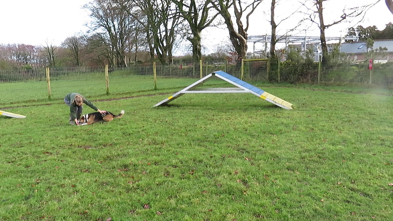 Odin training - YouTube