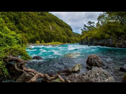 سورة الشورى يحيى عيشان