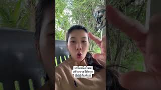  funny comedyjokes fbreels comedy funnyjokes cute happythai baby fun