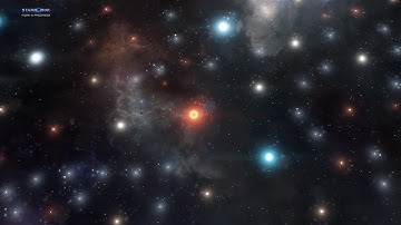 Starborne Art And Vision