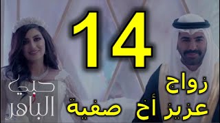 مسلسل حبي الباهر الحلقة 14