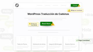 Celebrity Auto Translate Website Strings, Pages & Media in Minutes!!! Net Worth