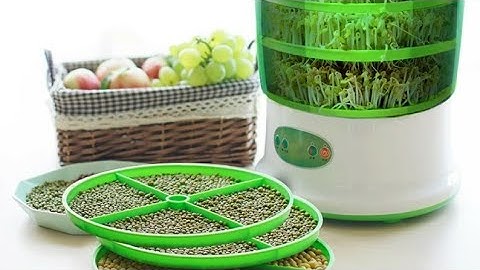 Automatic Bean Sprout Machine