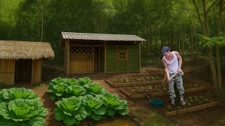 Go to the city to return to the old house to grow vegetables and raise fish. self-sufficient.