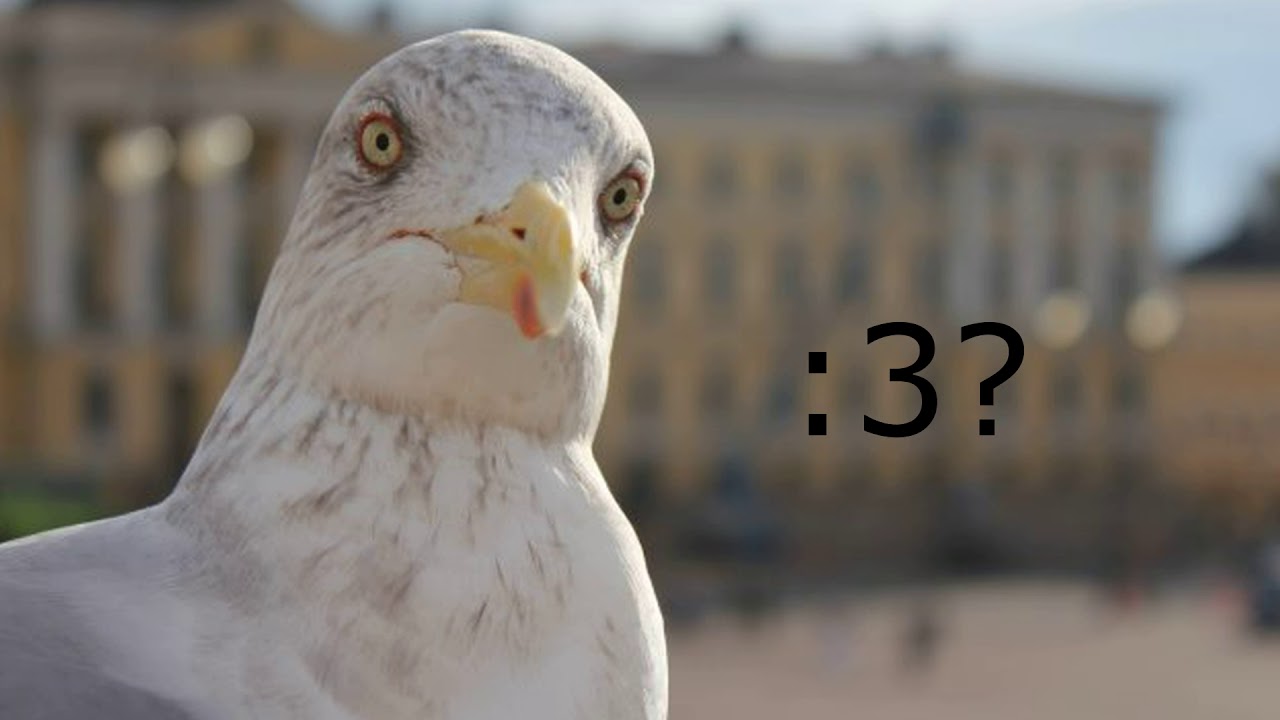 Дебилизм :D - YouTube