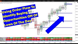 Order Flow Opportunities At The Low Of The Day Using Orderflows Trader For NinjaTrader 8