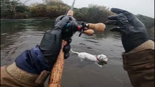 BOBBER DOWN FRENZY!! EPIC FALL SALMON FISHING WITH BOBBER AND BAIT 