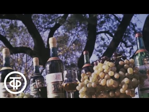 Мой Геленджик (1977)