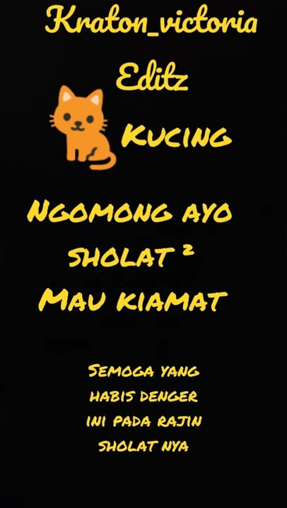 kucing ngomong ayo sholat ayo sholat mau kiamat