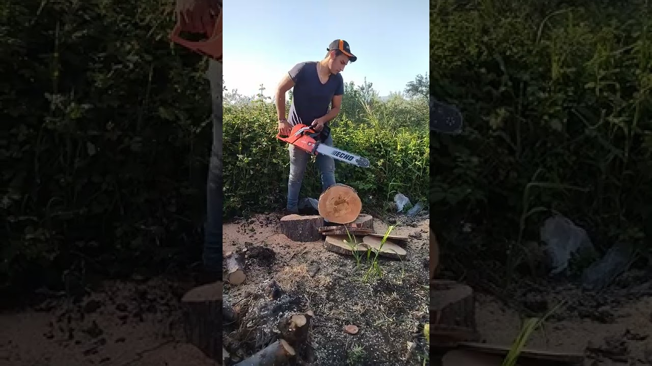 Echo cs501sx vs Echo cs621sx vs Echo cs 7310sx