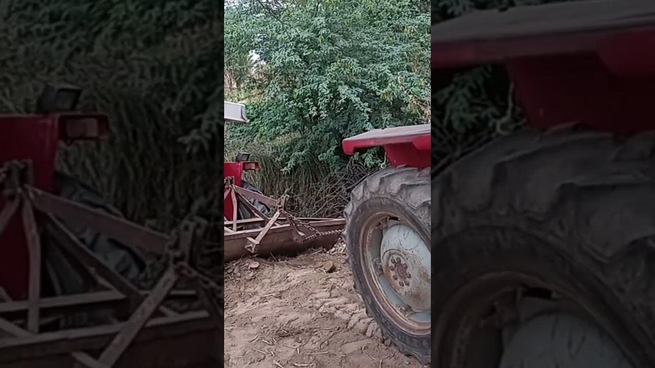 MF240 VS MF240. TOCHAIN.