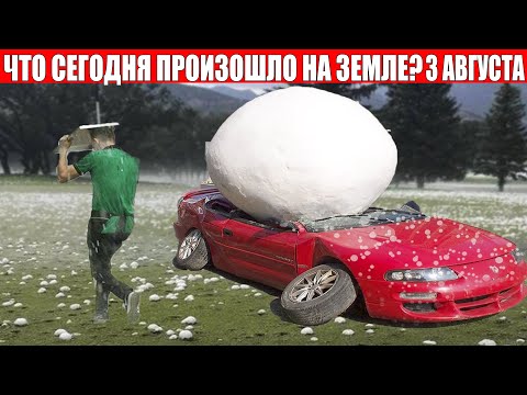 Видео: 3 лучших новых устойчивых модных бренда ко Дню Земли 2021