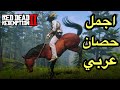ريد ديد     البحث عن الاحصنه  الجديدة ونروضها   خورااافيه          حالتي