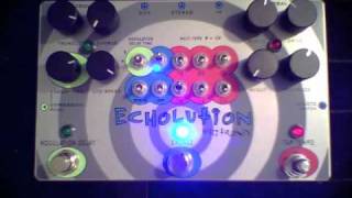 Pigtronix - Echolution - Rhythmic Delay Profile