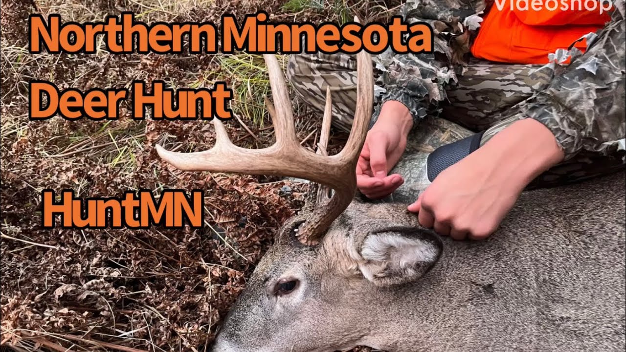 Northern Mn Deer Hunt 2025