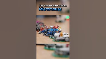 The Fastest Maze Solver