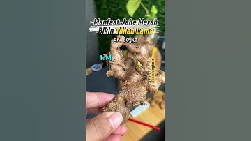 Manfaat Jahe Merah untuk Pria #jahemerahasli #obatkesehatan