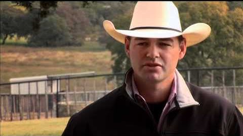 Clay Tryan Tip-Buying A Horse.mov