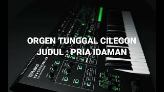 AUDIO MP3 ORGEN TUNGGAL CILEGON - PRIA IDAMAN
