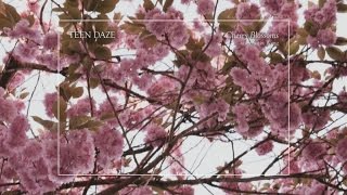 Video thumbnail of "Teen Daze (w/ Dustin Wong) - Cherry Blossoms (Official Audio)"