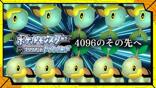 #46【4096超えたよね】現在4120回目。この地獄はいつまで続くのか【#色違い縛り】／【RPG】カラシの「ポケットモンスターブリリアントダイヤモンド」