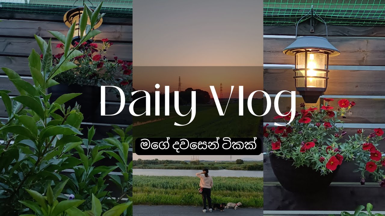 A Day in My Life as a Housewife in Japan| මගේ දවසෙන් ටිකක්