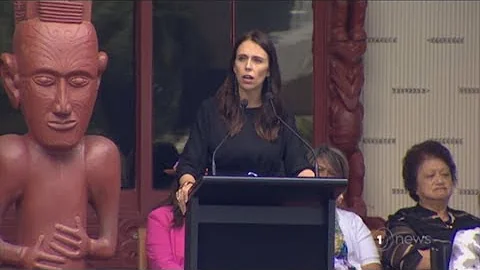 Labour gets boost in the polls, but support partners NZ First and Greens suffer