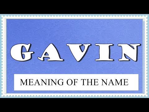 Video: Hvad står gavin for?