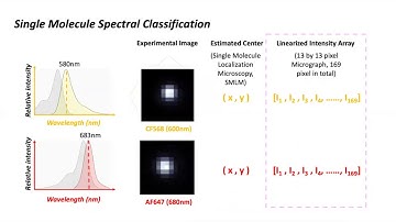 CS289: Spectral Classification of Single Molecule Localization Microscopy using Machine Learning