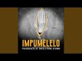 Kabza De Small, Fanzo & Young Stunna - Impumelelo (Official Audio)