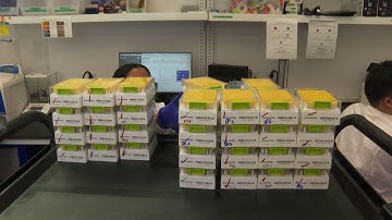 Omicron tests limits of COVID testing labs