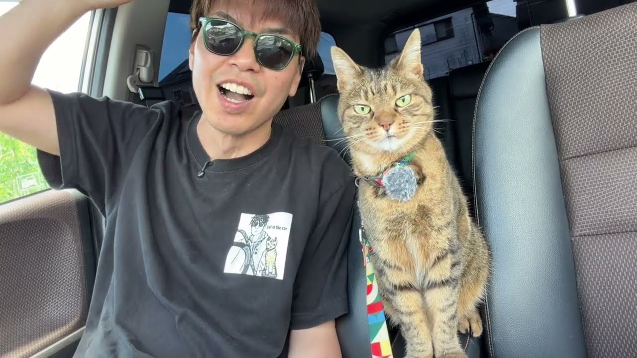 Coco-chan T-shirt Revival and Lung Capacity Check - Ends 7/12