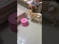 咬著球下樓是怎樣啦😍😍