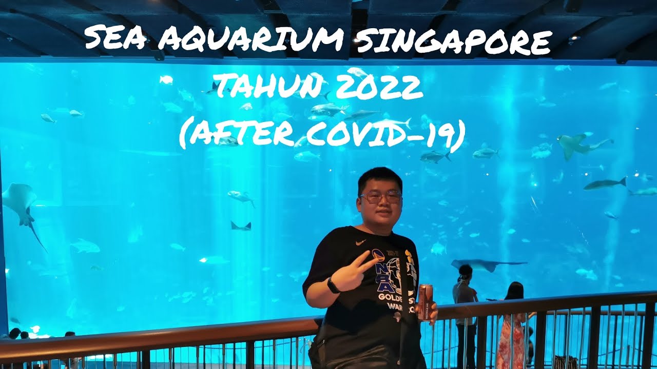 JALAN-JALAN KE SEA AQUARIUM SINGAPORE TAHUN 2022 SETELAH COVID-19 [PART 1]