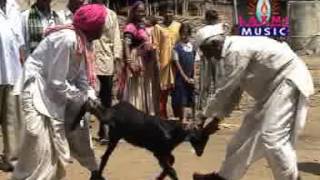 Seva Bhaya | Bholomaro Gormati Video Song | Banjara Video Song
