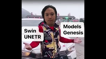 Pretraining in the field of medical imaging: Swin UNETR vs Models Genesis