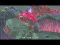 【ブレワイ(BotW)】ネルドラで遊んでみた【ドリカラ】
