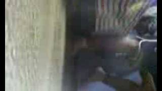 pedro eo novo  rebolation.wmv