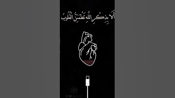 #سورة_الكهف #محمد_الفقية #اكسبلور #لايك #المصحف