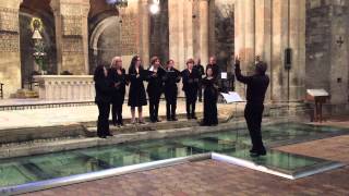 EXSURGE DOMINE. Schola Gregoriana de Madrid. Dir Antonio Peces, en el Monasterio de Veruela (Aragon