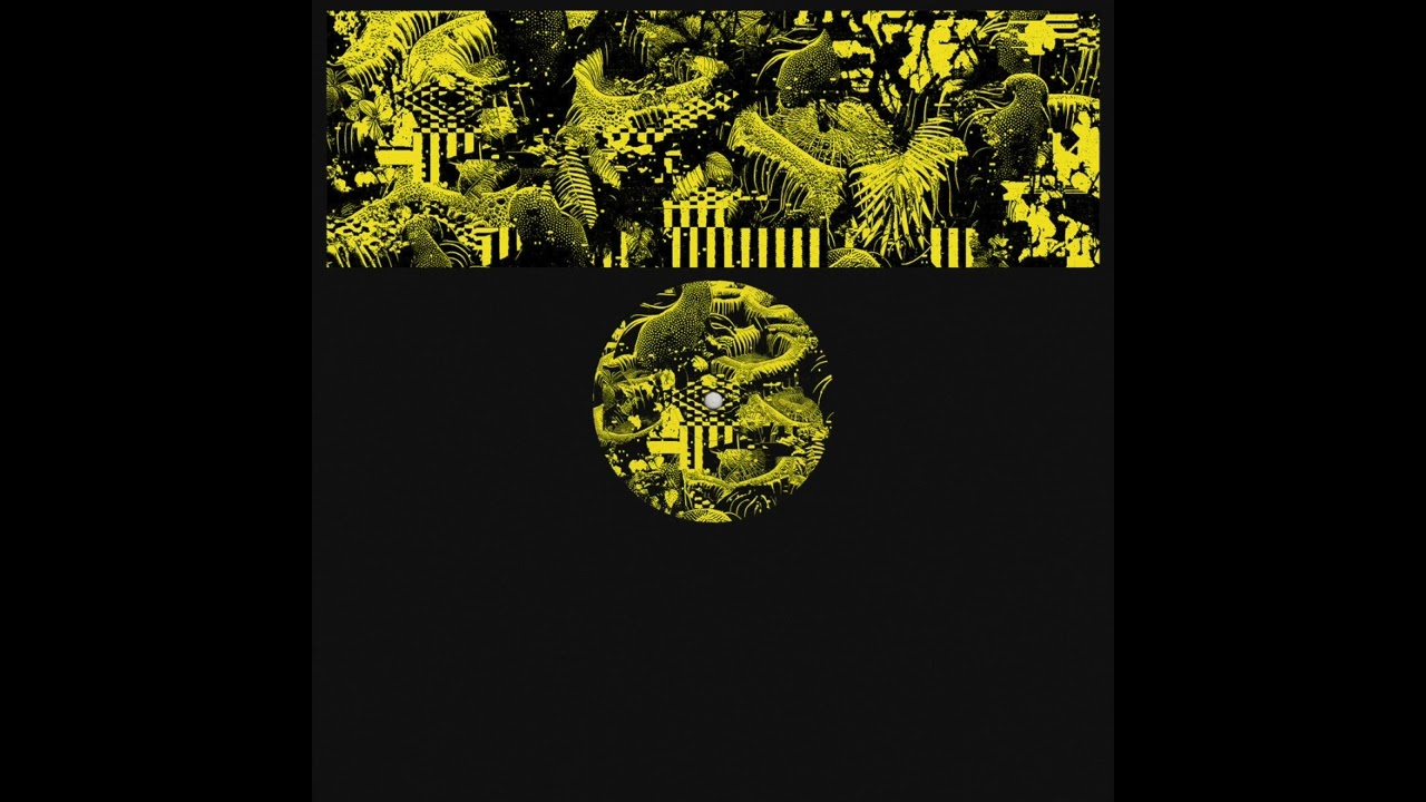 Watch shjva – Dragonfly | Warning on YouTube Watch shjva – Dragonfly | Warning on YouTube
