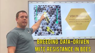 Breeding Varroa Mite Resistance into Honeybees.