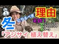 【アジサイ】今だよ！冬の植え替え / 冬こそがアジサイを超絶簡単に植え替えられる時期です / 土は？鉢は？同じサイズの植え替えは？/ 2分半で解る「アナベルの剪定・植え替え」あり【ガーデニング】