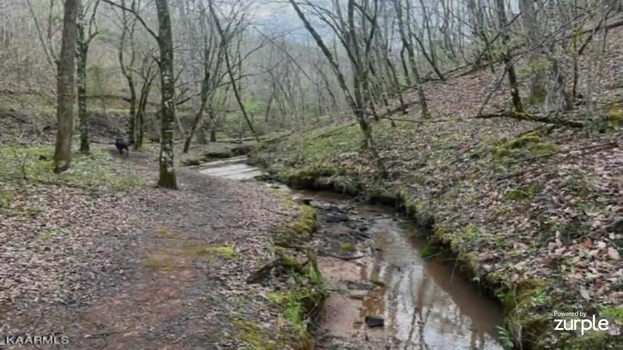 5 acres Adams Rd,
Englewood, TN, 37329