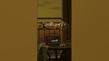 تلاوة نادرة تخشع لها القلوب للشيخ المنشاوي