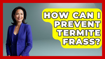 How Can I Prevent Termite Frass? - Insects and Invaders