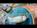 フライでオイカワ釣りのススメ の動画、YouTube動画。