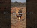 Darr ko apni Sawari bana lo! 🦁| Human #Psychology &amp; #Reality | VIJAY ARYAN #motivation #love #karma