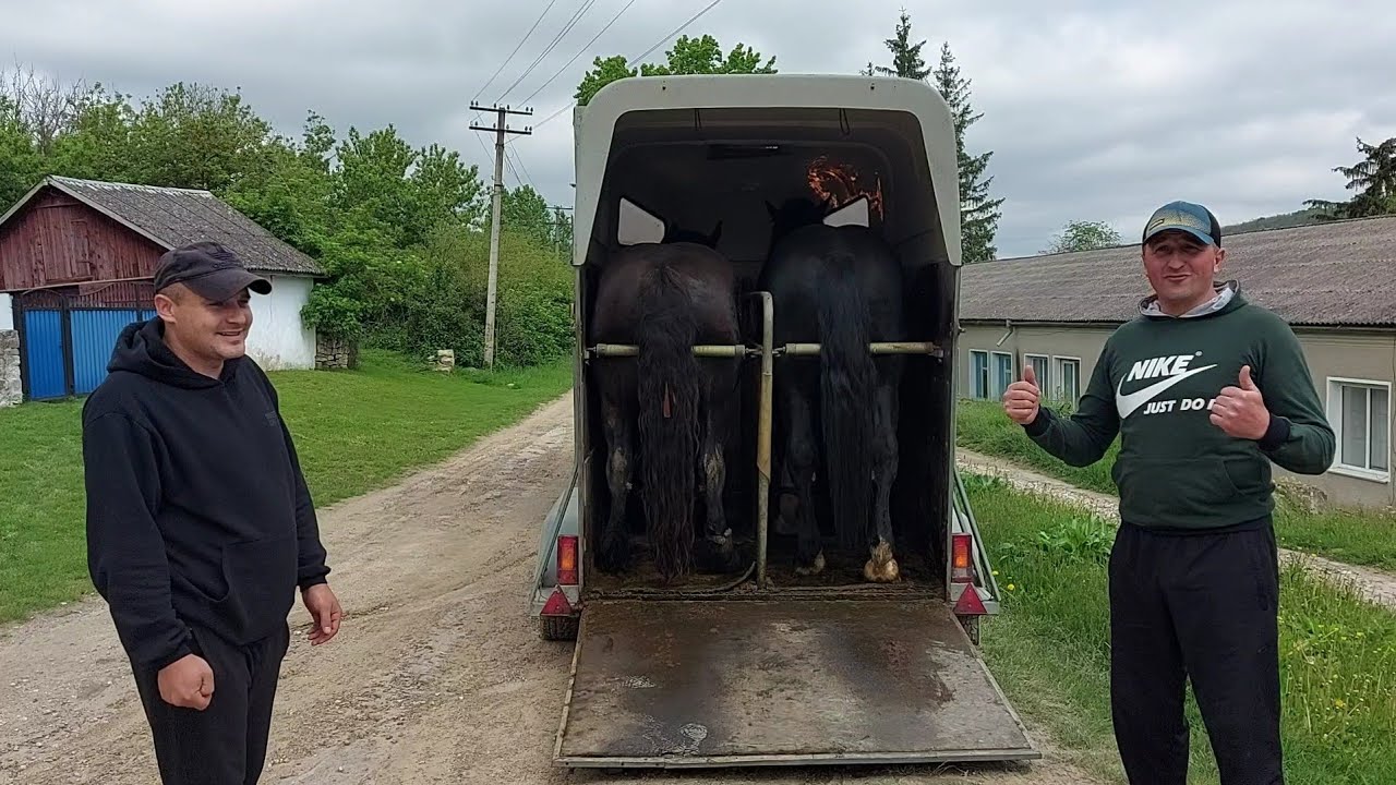 🥁📢КАЇР І ПАНАМА🔥👍💣 У НОВОГО ГОСПОДАРЯ РУСЛАНА🫡💯📍