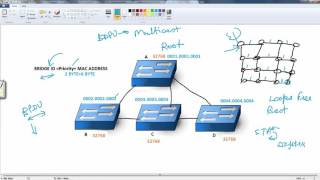 Root Bridge Election Process
